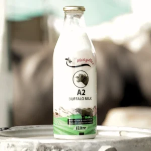 Merrymoo Premium Buffalo Milk