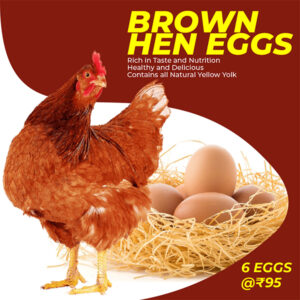 BROWN HEN EGGS Brown Hen Eggs